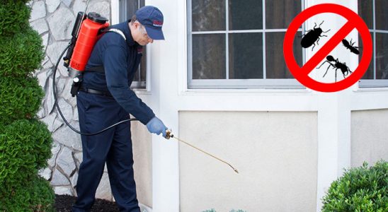 Zile Bit İlaçlama böcek ilaçlama ve haşere kontrolü — ilaclama-tr.com